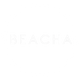 Beacha Swimwear